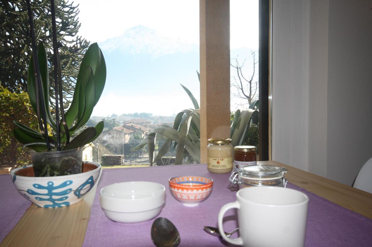 Agriturismo Badalone دومازو المظهر الخارجي الصورة
